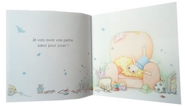 livre pour enfant, le bébé dans le bidou, à partir de 3 ans